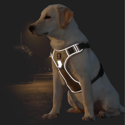 TactiPaw – Reflektierendes, wasserdichtes Outdoor-Hundegeschirr für mittlere und große Hunde