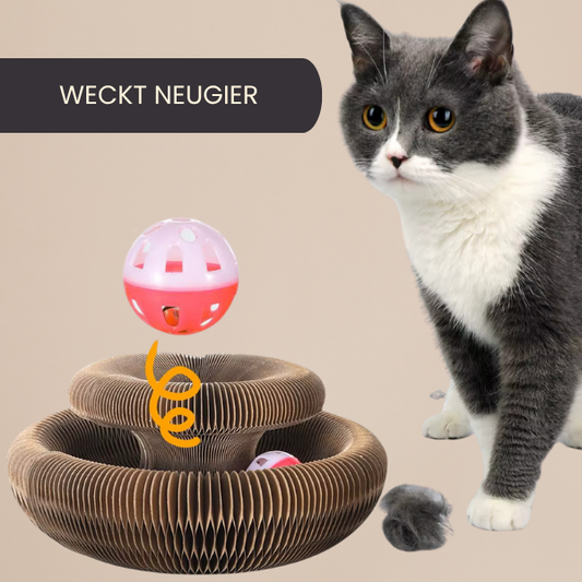 Magic Cat Kratzspielzeug – Rundes Faltbares Kratzbrett mit Ball & Krallenpflege für Katzen