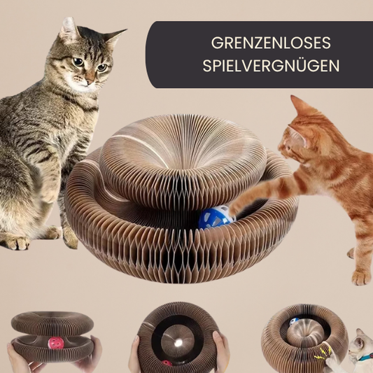 Magic Cat Kratzspielzeug – Rundes Faltbares Kratzbrett mit Ball & Krallenpflege für Katzen