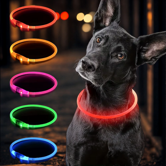 LightLoop - LED Hundehalsband für Sichtbarkeit & Sicherheit bei jedem Spaziergang