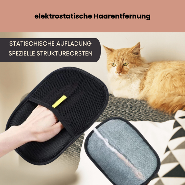 Fellmagnet - der sanfte Handschuh, der 90% loser Tierhaare in Sekunden entfernt